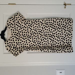 J Crew Dress - Size 6